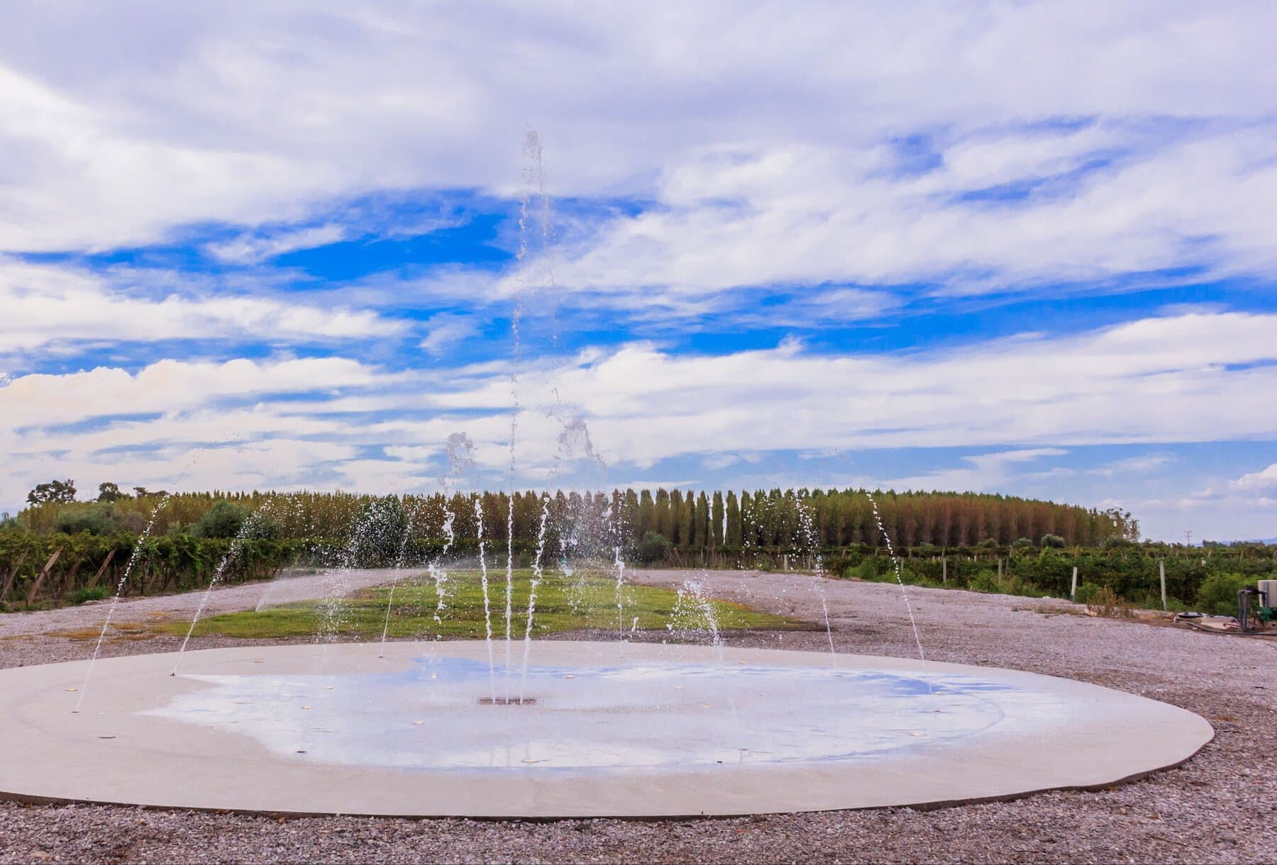 Finca y viñedos con la precordillera de fondo